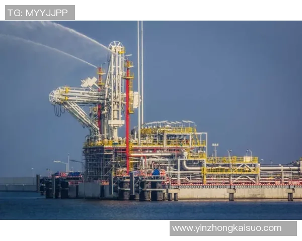 数据分析：LNG的团队协作表现